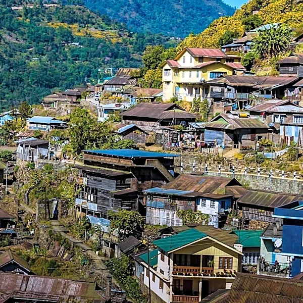 Climate Change Increases Vector-Borne Diseases in Nagaland, Impacting Public Health