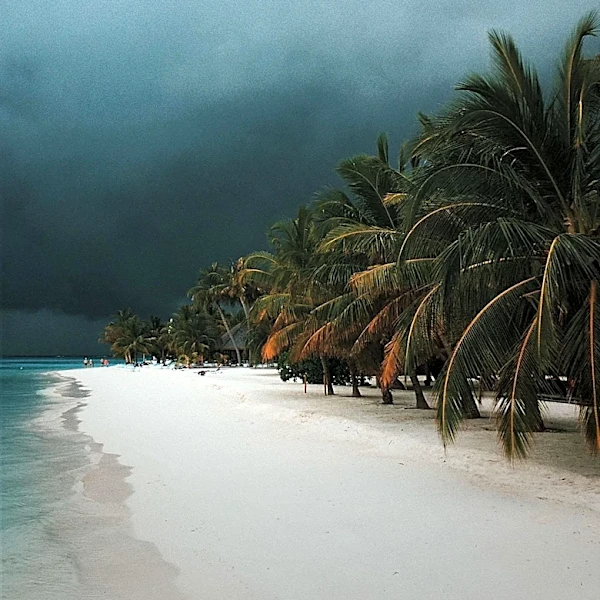 South Florida Braces for Showers and Storms Amid High Temperatures