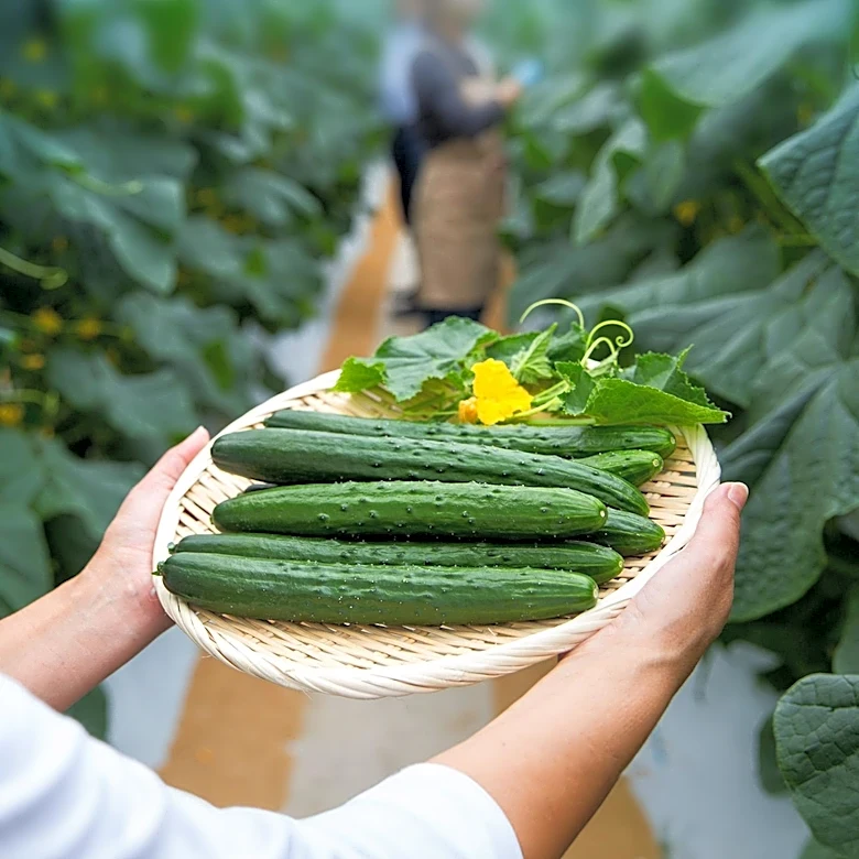 Cyclospora Outbreak Prompts Shift to Home-Grown Produce for Food Safety