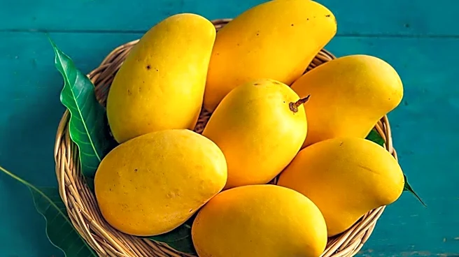 South Asian Mangoes in Melbourne Foster Cultural Unity Amid Historical Tensions
