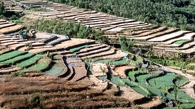 Study Reveals Community Rules Sustain Forests Amid Slash-and-Burn Farming