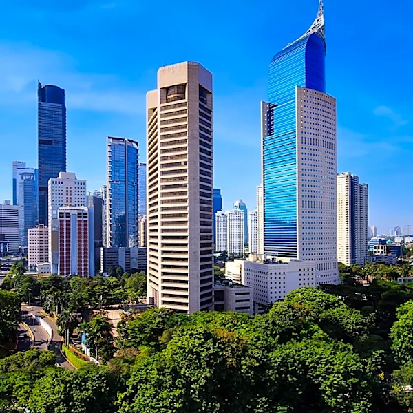 US-Indonesia Trade Agreement Raises Concerns Over Policy Constraints