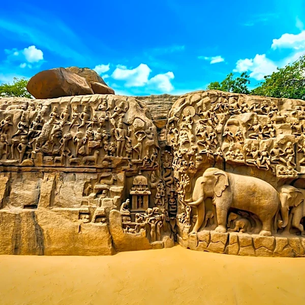 Ancient Elephant Bone Hammer Reveals Early Human Toolmaking Skills