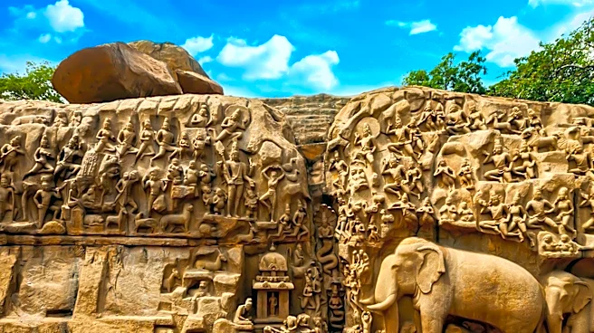 Ancient Elephant Bone Hammer Reveals Early Human Toolmaking Skills