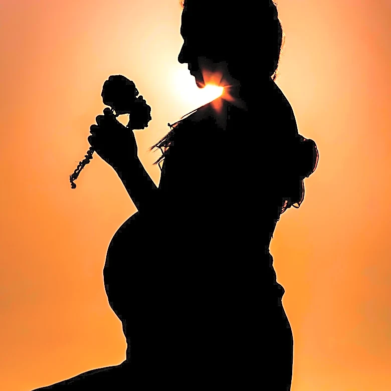 Maternal Health Advocacy Highlights U.S. Birthrate Decline Amidst Policy Challenges