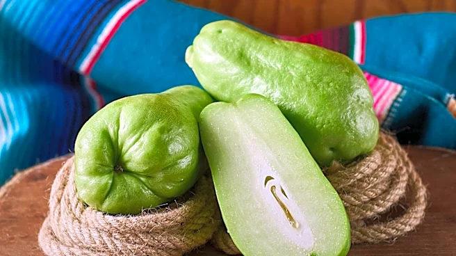 U.S. Retailers Halt Mexican Produce Imports Amid Cyclospora Outbreak Concerns