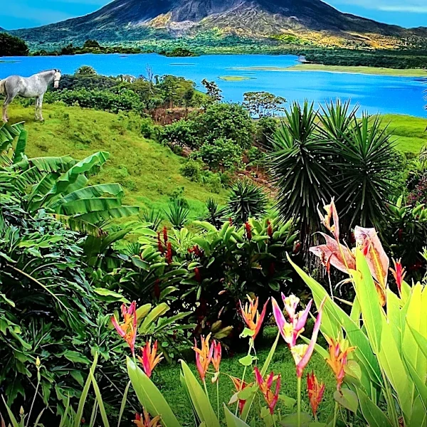 Costa Rica Advances Solar Energy with New 20 MW Plant Connection