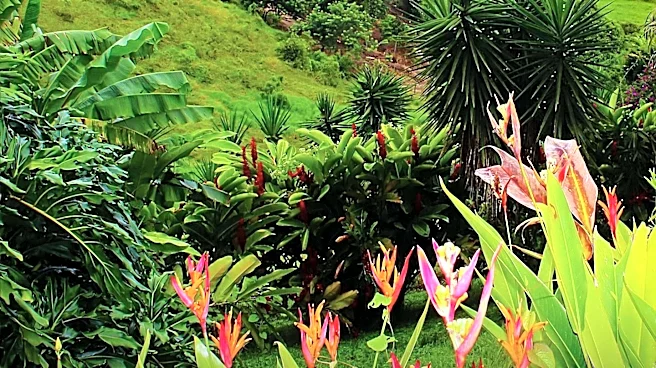 Costa Rica Advances Solar Energy with New 20 MW Plant Connection