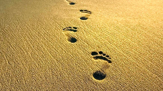 Mystery Hominin Footprints Found at Ancient Lake in Africa Challenge Existing Theories