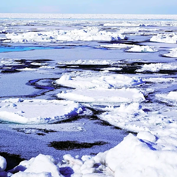 Arctic Sea Ice Experiences Record Decline, Raising Climate Concerns