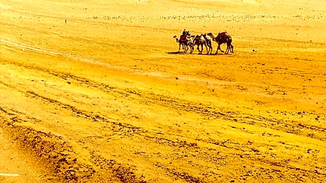 Egypt and Cyprus Strengthen Partnership in Gold and Natural Gas Sectors