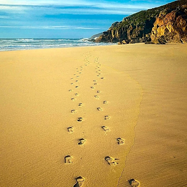 Ancient Footprints in Kenya Offer New Insights into Human Evolution