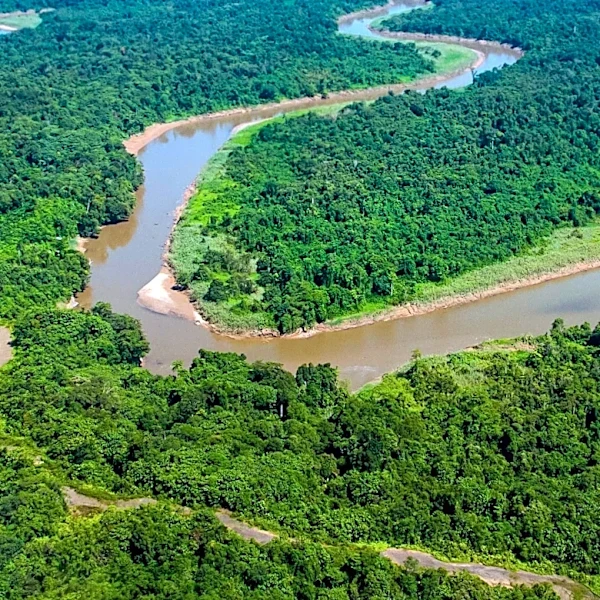 Satellite Mapping Uncovers Archaeological Sites in Amazon Floodplain