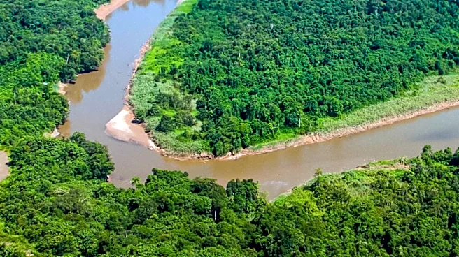 Satellite Mapping Uncovers Archaeological Sites in Amazon Floodplain