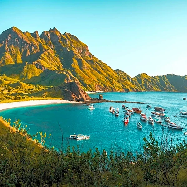 Indonesia Introduces Digital Nomad Visa for Remote Workers