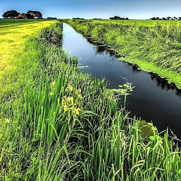Minnesota Weather Forecast Predicts Hot Days Before Showers Arrive