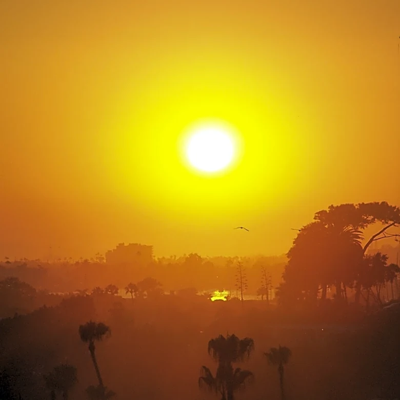 Bay Area Prepares for Triple-Digit Temperatures Amid Heatwave