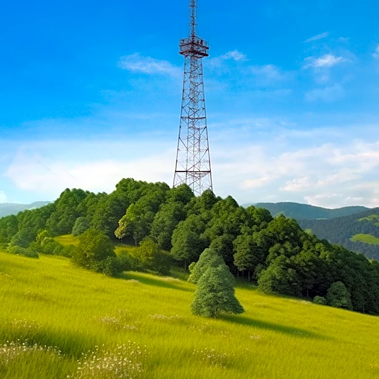 Western Maryland Wildlands Threatened by Proposed Transmission Line