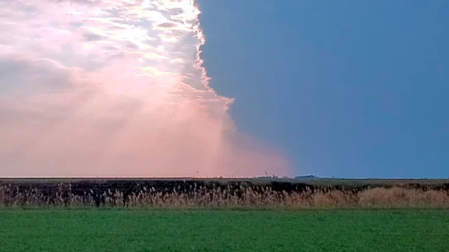 NWS Investigates Possible Tornadoes in Illinois After Severe Storms
