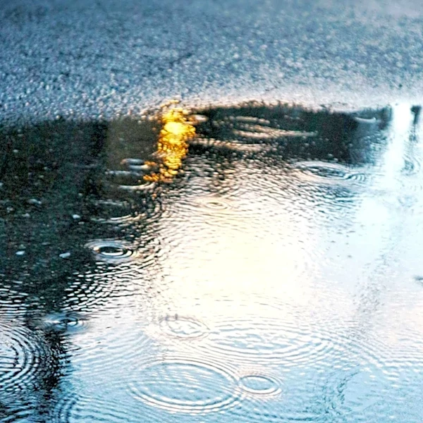 Understanding the Science Behind the Smell of Rain and Its Predictive Power