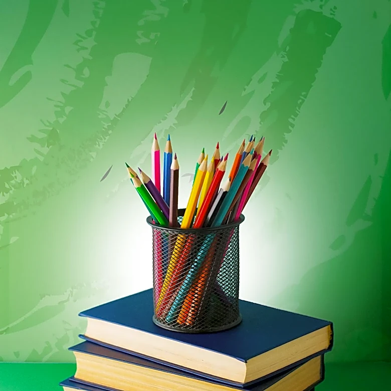 Fergus Falls First Graders Win National Recognition for Creative Book Project