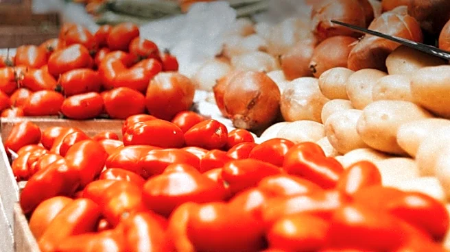 Cyclospora and Salmonella Outbreaks Highlight Food Safety Concerns