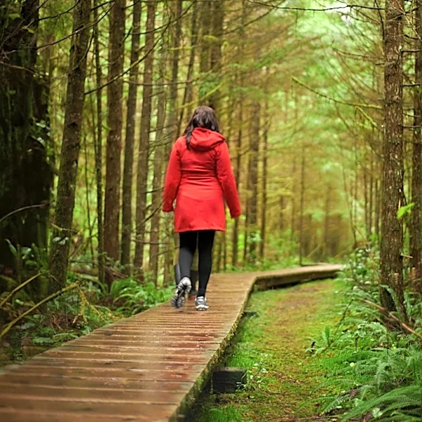Heavy Rains Force Evacuation of Over 70 Hikers from West Coast Trail