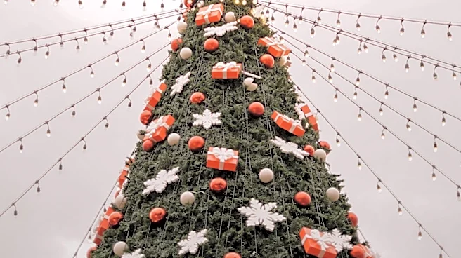 White House Seeks Performers and Decorators for 2026 Holiday Season