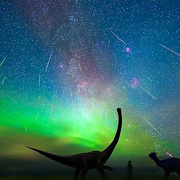 New Study Suggests Dinosaurs May Have Perished in Hours Due to Meteorite Impact