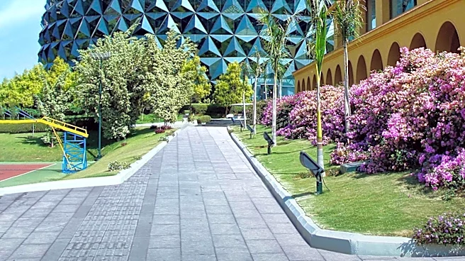 Shenzhen Natural History Museum Opens, Merging Nature and Architecture
