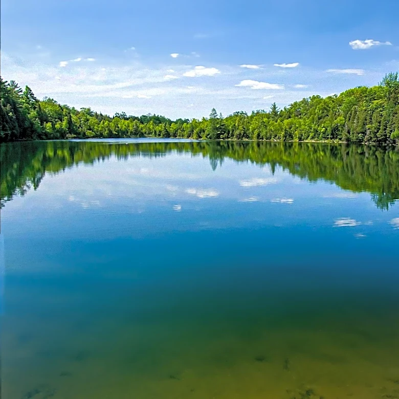 Connecticut State Parks Close Swimming Areas Due to Bacteria Concerns