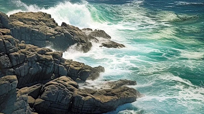 Hurricane Genevieve's Swells Pose Dangers to California's Coastline