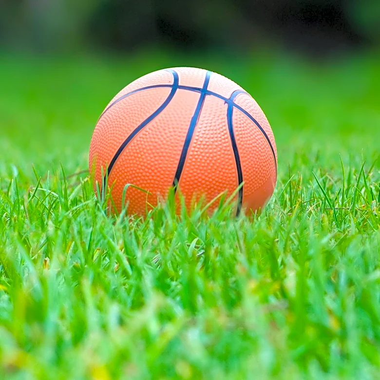 UW-Green Bay Receives $2.3 Million Gift to Enhance Music, Veterans Services, and Women's Basketball