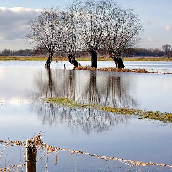 WMO Launches Call for Youth-Led Projects on Flood and Drought Resilience