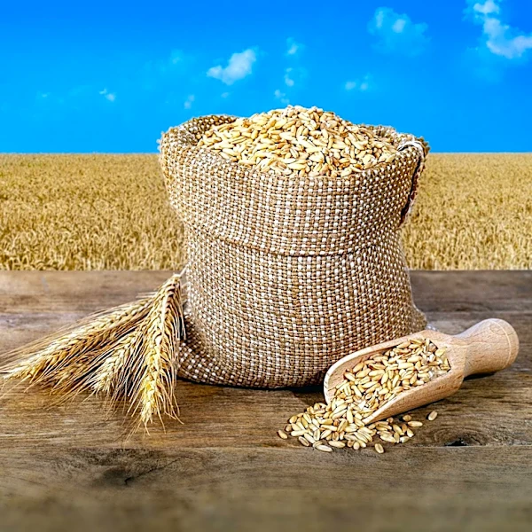 EU Sets New Guidance Values for Mycotoxins in Animal Feeds