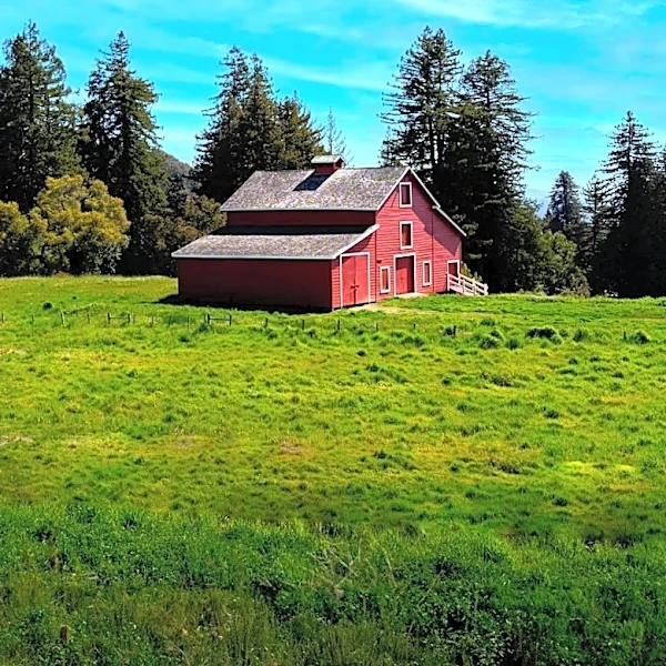 Mendocino County's Special Districts: The Unseen Governments Shaping Rural Life