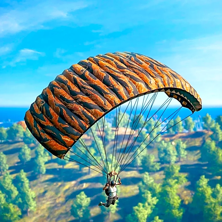 Palestinian Woman Dies in Sri Lanka Paramotor Crash