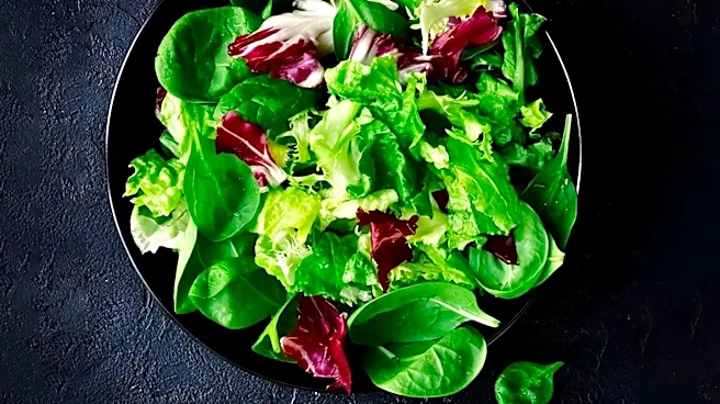 Nutrition Experts Address Cyclospora Outbreak Concerns in Salads