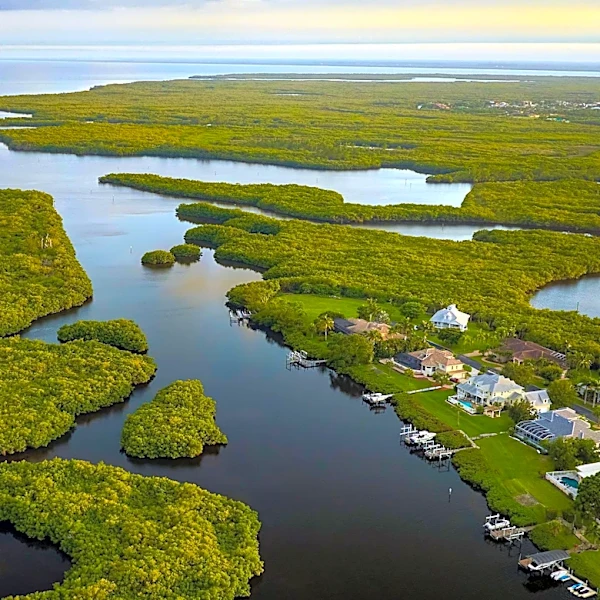 Florida Waterways Identified as Major Bacteria Hot Spots in U.S. Environmental Report