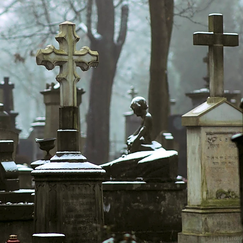 Cemetery Workers Seek Compensation for Arrests During Operation Midway Blitz