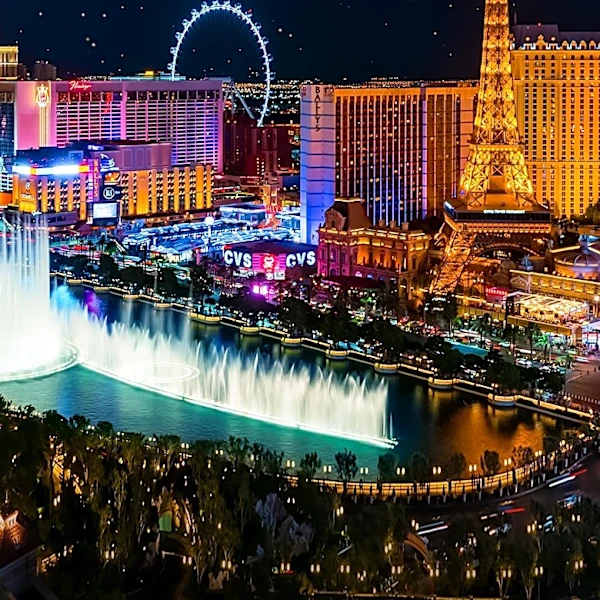 Alpha Kappa Alpha Sorority Celebrates Historic 72nd Boule in Las Vegas