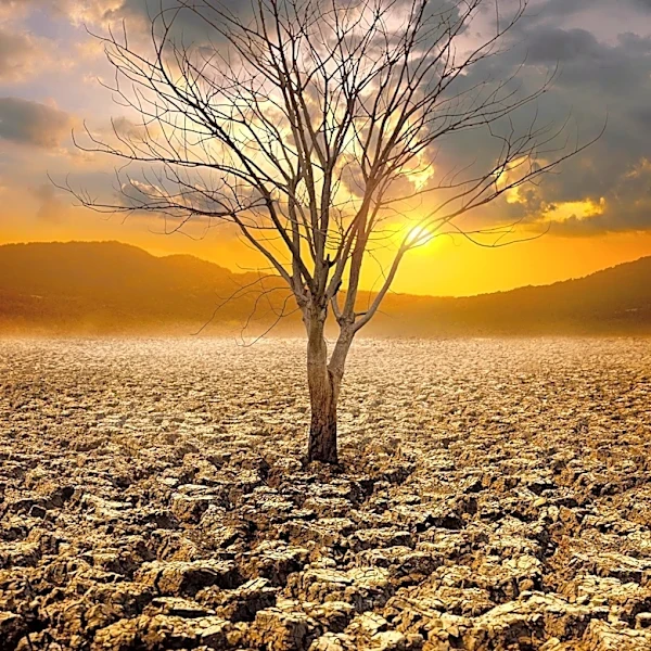 England Faces 'Exceptionally Serious' Drought Amid Record Heatwaves
