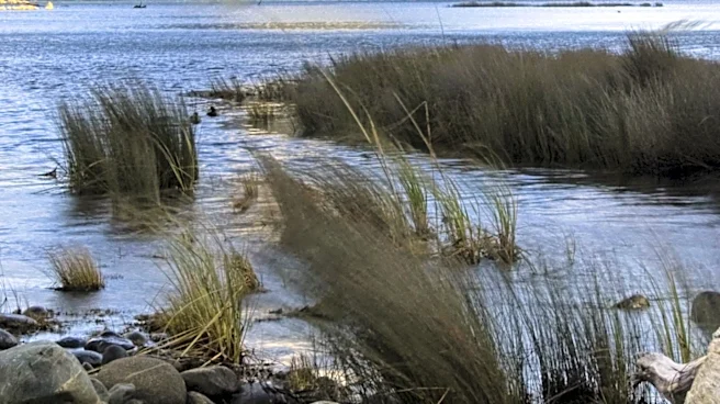 Datagrid New Zealand Contracts for New Trans-Tasman Cable to Enhance Connectivity