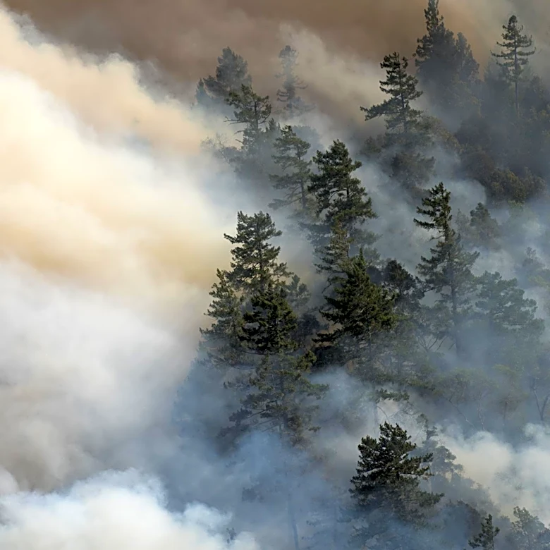 Monaco Royals Highlight Environmental Emergency Amid European Wildfires