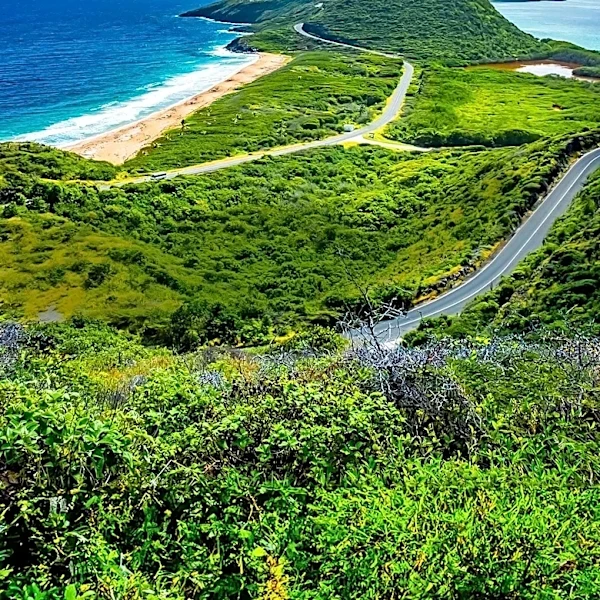 Expatriates in Saint Kitts and Nevis Face Cultural Challenges Amidst Economic Benefits