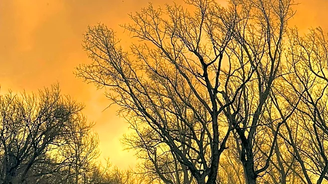 Wildfire Near Area 51 in Nevada Continues to Spread, Only 7% Contained