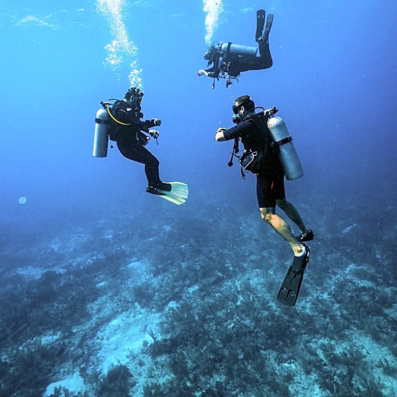 Three Divers Rescued After Being Lost at Sea in the Florida Keys