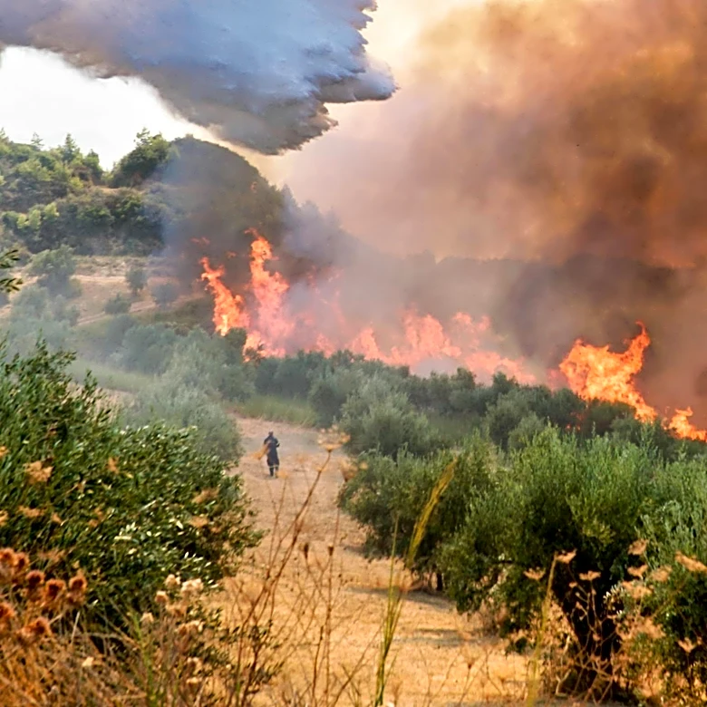 Wildfires Near Bordeaux Threaten France's Wine Industry