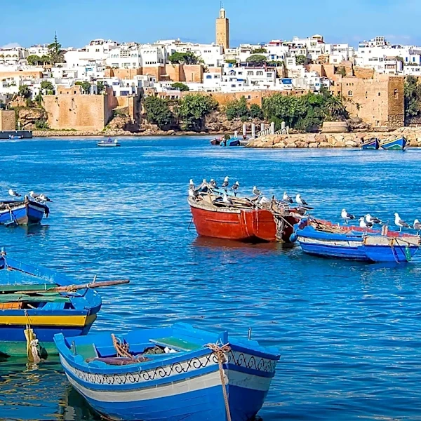 President Kais Saied's Foreign Policy Focuses on Strengthening Ties with Maghreb and Africa