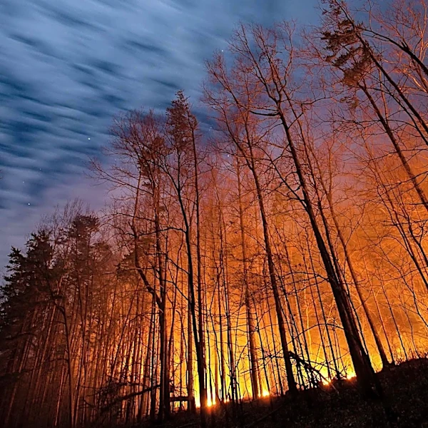Oregon and Washington Face Worst Wildfire Season Since 2000